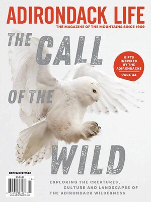cover image of Adirondack Life